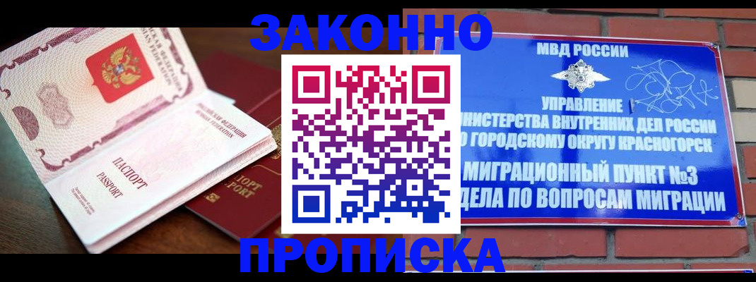 прописка для школы в Ельне